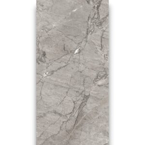 REGENCY CARBON
